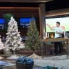 Ryan Kenny, the Founder Christmas Tree Hugger