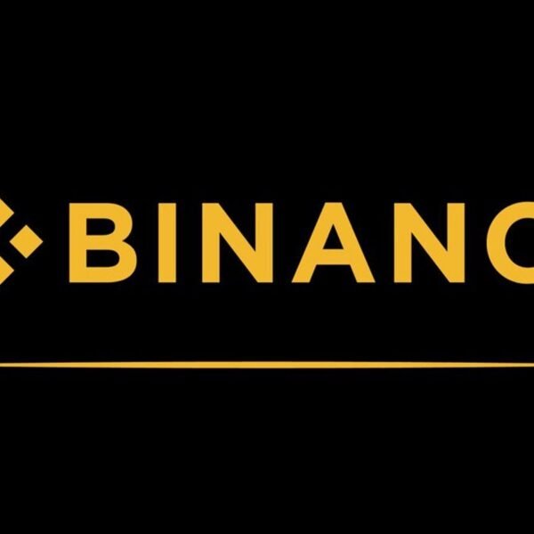 Trust or Bust? Investigating Binance's Reputation