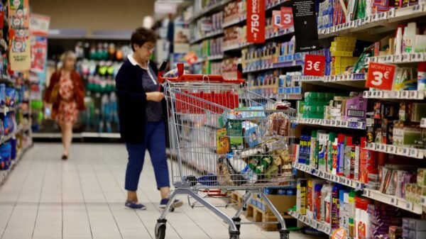 A shopping trolley is seen as customers shop at a Carrefour supermarket in Montesson near Paris, France, September 13, 2023. REUTERS/Sarah Meyssonnier/File Photo