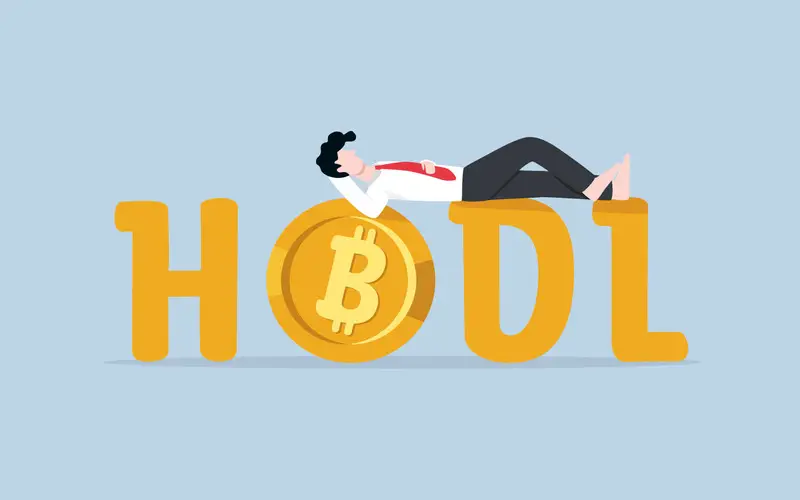 File Photo: Hold on for Dear Life (HODL) : The Cryptocurrency Strategy