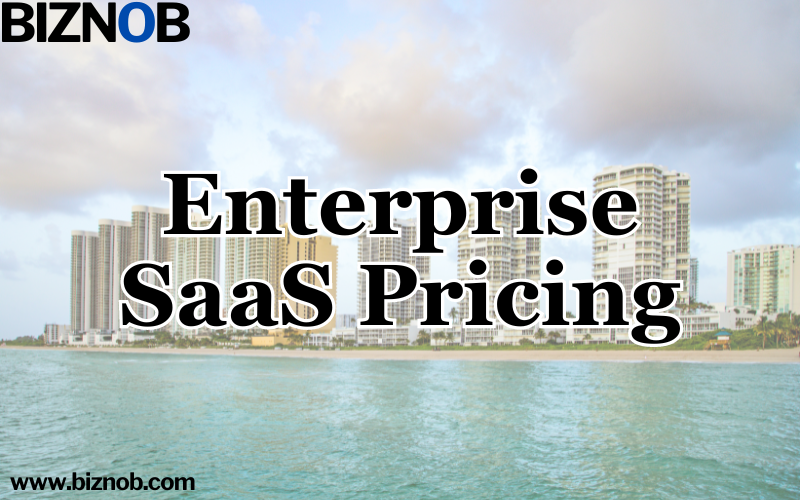 File Photo: Enterprise SaaS Pricing