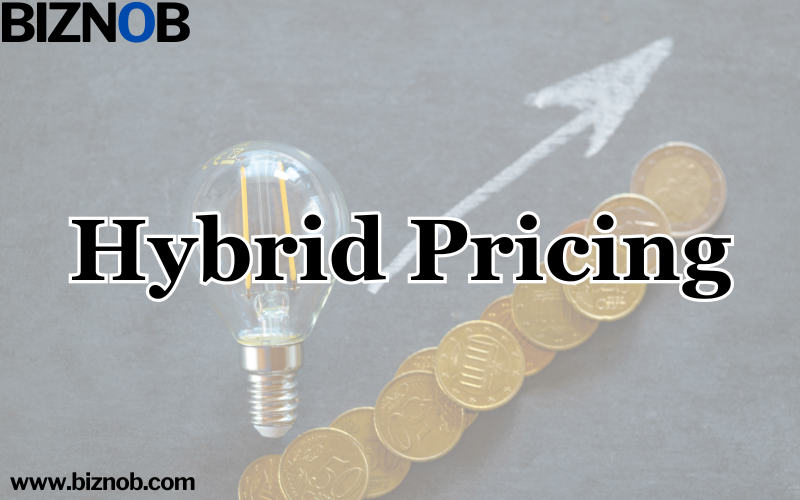 File Photo: Hybrid Pricing