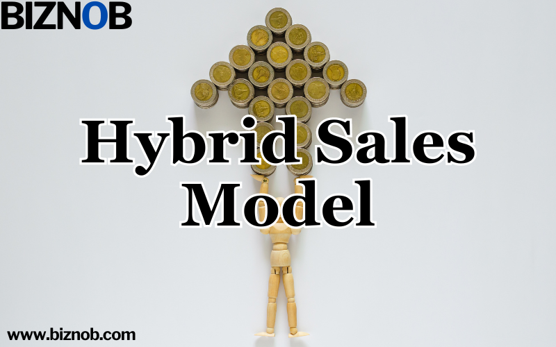 File Photo: Hybrid Sales Model