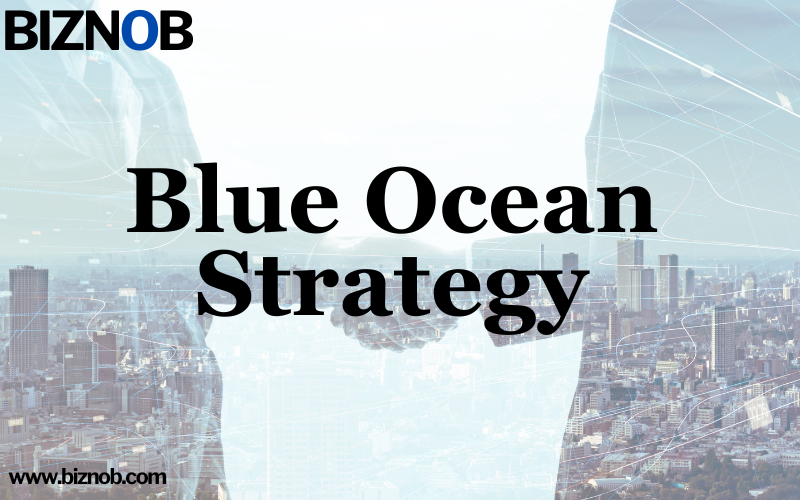 File Photo: Blue Ocean Strategy