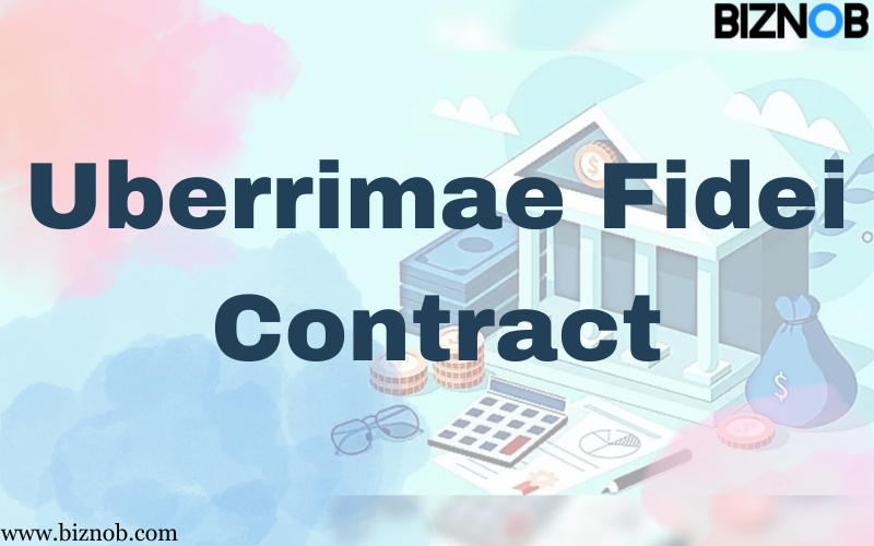 File Photo: Uberrimae Fidei Contract: Explanation and Illustrations