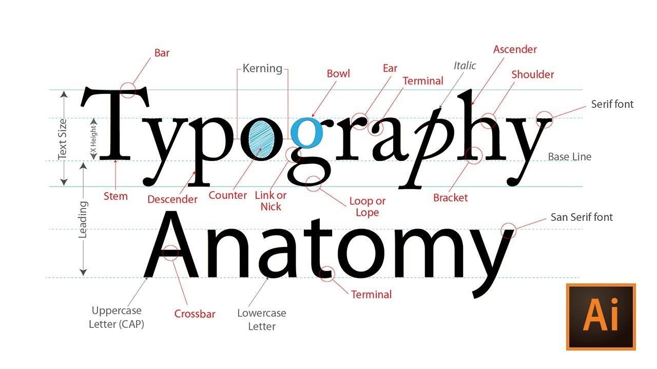 Typography