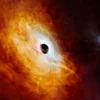 Discovery of the Brightest and Most Voracious Black Hole to Date