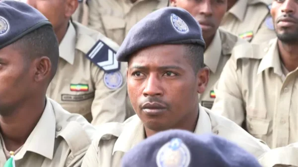 Ethiopian Authorities Detain French Journalist, Confirms Employer