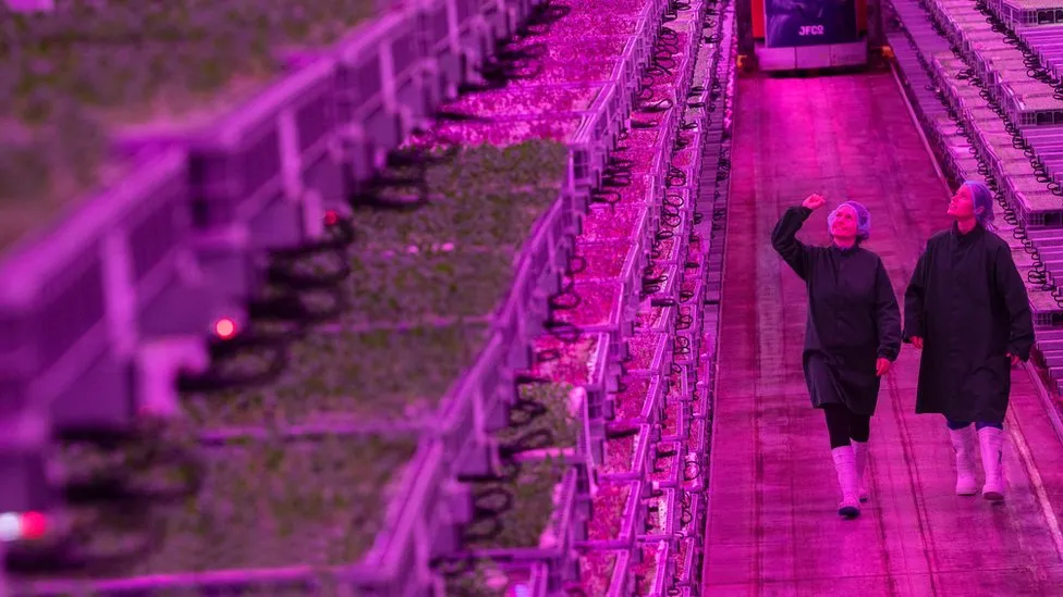 Gloucestershire Vertical Farm Showcases as UK's Most Advanced