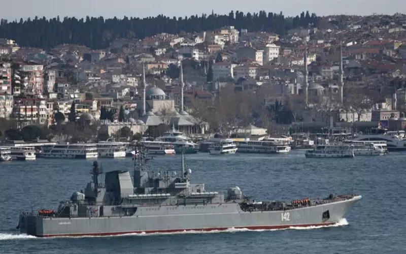 Ukraine sinks Russian big landing vessel in Black Sea