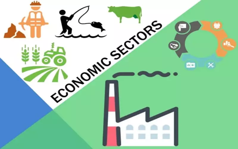 File Photo: Economic Sector and How Do the 4 Main Types Work?