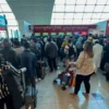 Dubai Airport Disruption: Unprecedented Rains Impact Travel