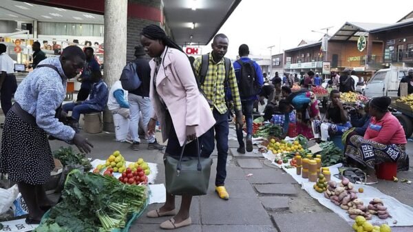 Zimbabwe Informal Traders Dump Zimdollar, Anticipating Debut